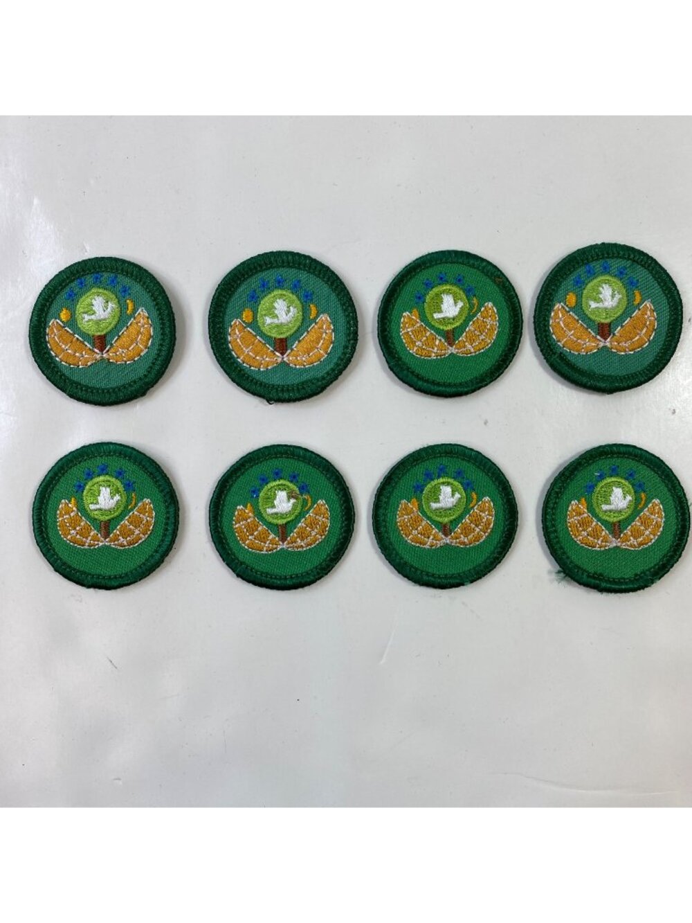 Girl Scouts Junior World of Outdoos Dabbler Badge Patches Lot 8